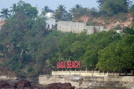 baga river meets the indian oceanの写真素材