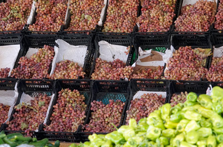 fresh vegetables on the Bedouin market in Egyptの写真素材