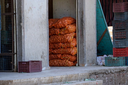 fresh vegetables on the market in Egyptの写真素材