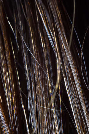 Photo of thewet human hair - macro shot