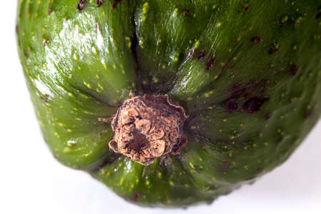 Photo of green ripen avocado - macro photo