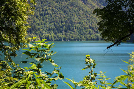 Photo of mountain lake through the trees, summer