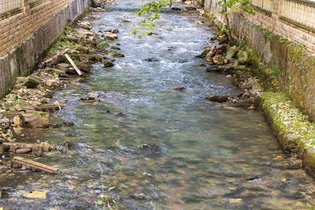 Photo of dirty abandoned pond in the summerの写真素材