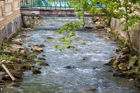 Photo of abandoned pond in the summerの写真素材