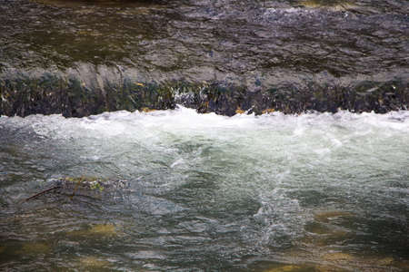 Image flowing mountain stream, water in the summer