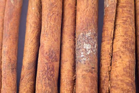 Photo of brown cinnamon sticks, textured backgroundの写真素材