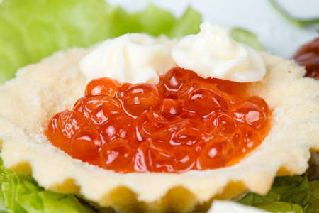 Tartlet with red caviar and fishの写真素材