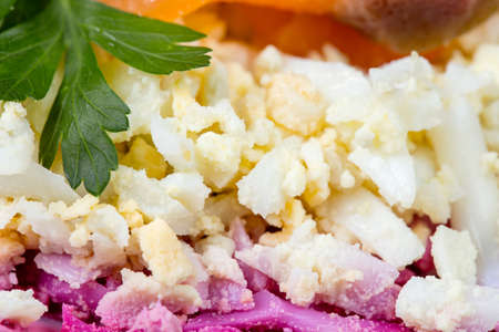 Salad with fish and green parsleyの写真素材