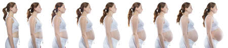 Blond woman during pregnancy with bare belly