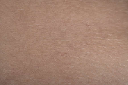 Macro shooting of the young pink humans skin texture