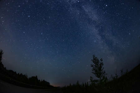 Picture of nightly blue sky with stars and treesの写真素材