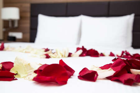 Photo petals of red rose on the bedの写真素材