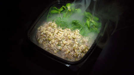 Image of the plate with sprouted seeds of pea, bean, mungの写真素材