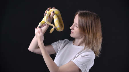 Shooting of woman with albino python in her handsの写真素材