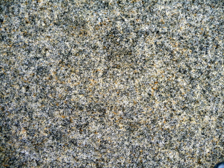 gray backgroundの写真素材