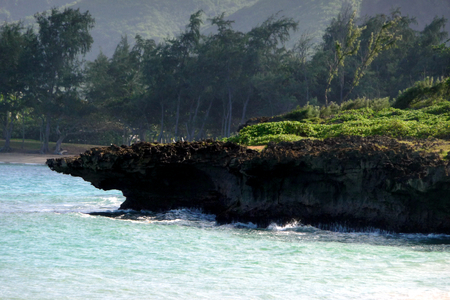 Beach of Oahu, Hawaiiの写真素材