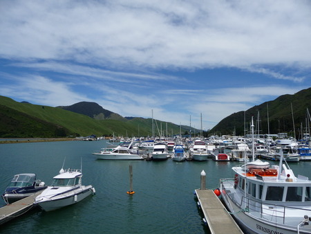 Harbour of Havelock, Marlborough Sounds, New Zealandのeditorial素材