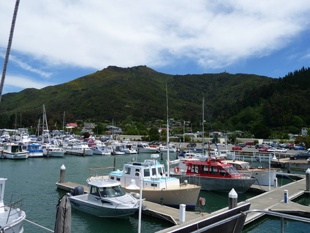 Harbour of Havelock, Marlborough Sounds, New Zealandのeditorial素材