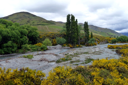 riverbed with mountains in the backgroundの写真素材