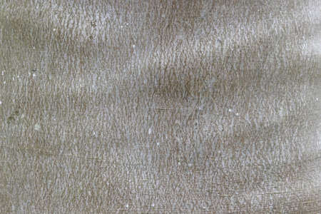 a Seamless wood bright with Tileable Texture