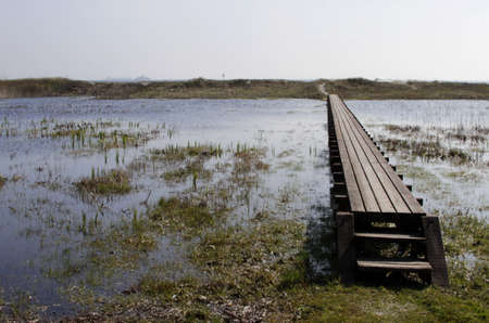 way on the lake at the North Sea in Denmarkの写真素材