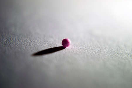 Close up of a single の写真素材