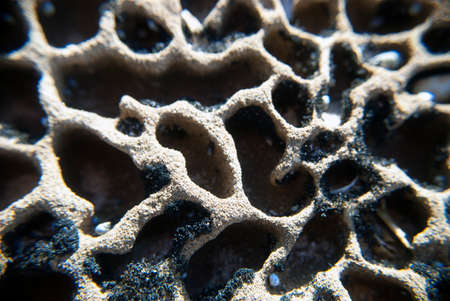 textured rock at the beachの写真素材