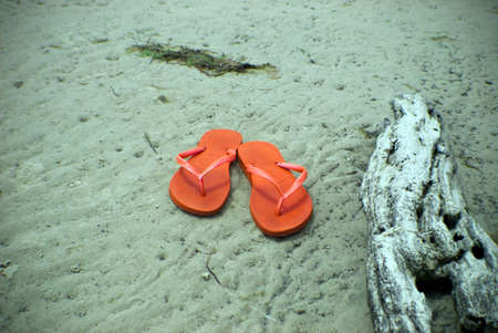 orange beach thongs on sand with driftwoodの写真素材