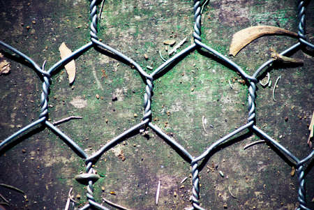 chicken wire on wooden backgroundの写真素材