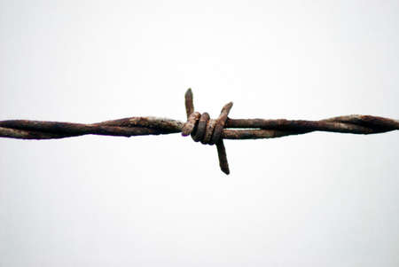 barbed wire fence with white backgroundの写真素材