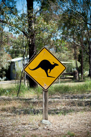 kangaroo, sign, post, australian, animal, australia, bush, road sign, warning, yellow, wildlifeの写真素材