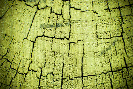 Cross section of timber post cut and painted green showing pattern of cracked rings