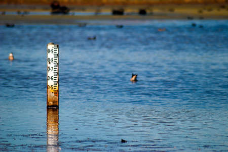 Water depth indicator in the middle of a flooded swampの写真素材