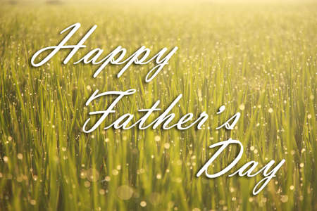 Happy Father's Day with a field background.の写真素材