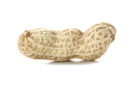 Close up peanuts is isolated on white background.の写真素材