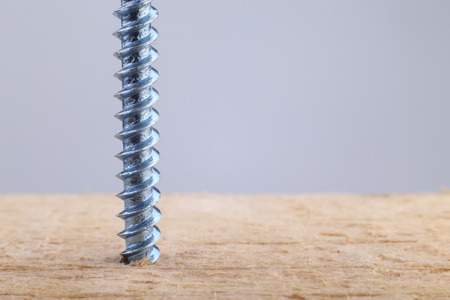 Closeup of a screw screwed into wooden plank.の写真素材