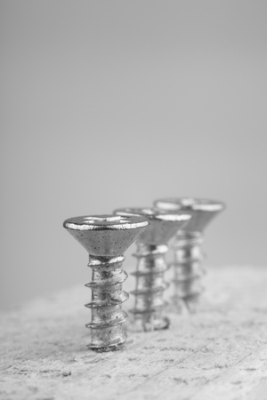 Closeup of some screws screwed into wooden plank.の写真素材