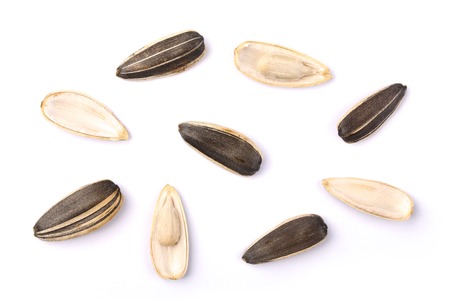 Sunflower seeds pile isolated on white background.の写真素材
