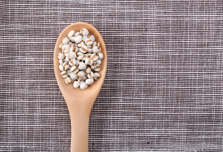 Closeup shot of Coixseed and wooden spoon.の写真素材