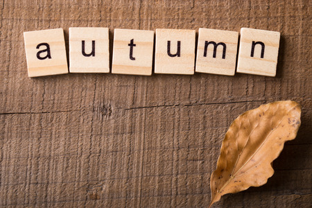 Autumn concept wooden blocks on the wooden Background.の写真素材