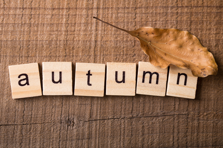Autumn wooden blocks on the wooden Background.の写真素材