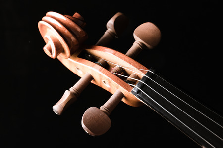 Closeup shot of violin orchestra musical instruments.