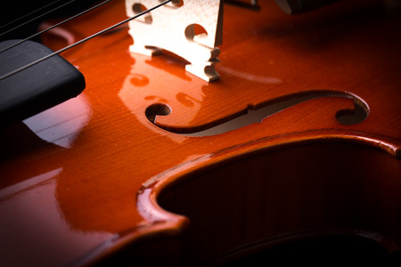 Closeup shot of violin