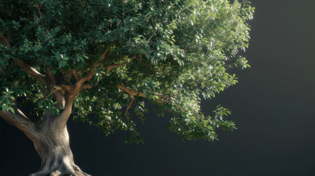 Tree with green leaves on a dark backgroundの素材