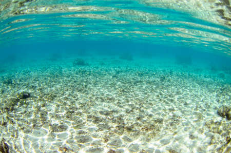 Seabed texture of Moorea in Tahiti French Polynesiaの写真素材