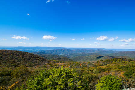 Colorful Leaves in Shenandoah National Park During high Fall Color in Virginaの写真素材