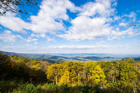 Colorful Leaves in Shenandoah National Park During high Fall Color in Virginaの写真素材