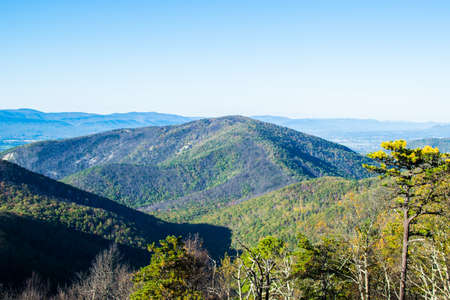 Colorful Leaves in Shenandoah National Park During high Fall Color in Virginaの写真素材