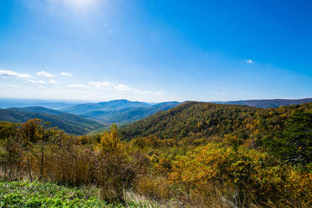 Colorful Leaves in Shenandoah National Park During high Fall Color in Virginaの写真素材