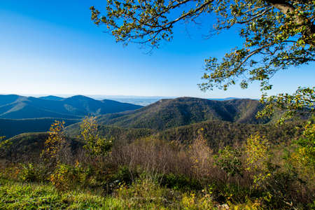 Colorful Leaves in Shenandoah National Park During high Fall Color in Virginaの写真素材